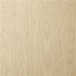 Blake Modern Classic Light Wash Wood Writing Desk|