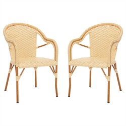 Hayden Coastal Beige Woven Faux Wicker Outdoor Dining Arm Chair - Set of 2|