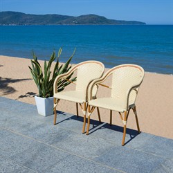 Hayden Coastal Beige Woven Faux Wicker Outdoor Dining Arm Chair - Set of 2|