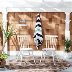 Elaine Modern Classic White Aluminum Outdoor Dining Chair - Set of 2|