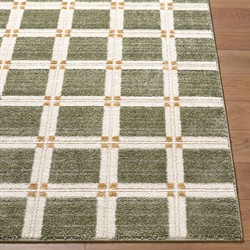 Erin Modern Classic Green Grid Patterned Rug - 5'3"x7'|