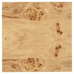 Aurore Modern Classic Brown Burl Wood Square Block Side Table|