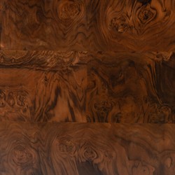 Galvin Brown Walnut Burl Desk|