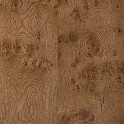 Talessi Modern Classic Brown Oak Burl Square Block End Table|