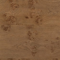 Talessi Modern Classic Brown Oak Burl Block Coffee Table|