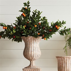 Calais French Country Faux Orange Branches - Set of 2|