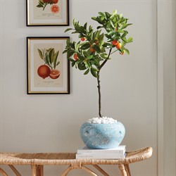 Ameer French Country Orange Kumquat Drop In Tree - 33"|