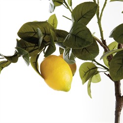 Alfonso French Country Green Leaf Lemon Drop In Tree - 37"|