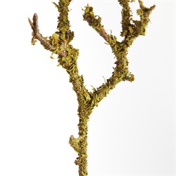 Loire French Country Green Faux Lichen Moss Branch - Set of 6|