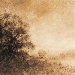 Amber Morning Gallery Wall Art Set - 48x56|