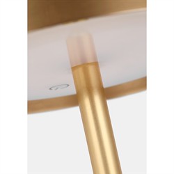 Tepa Modern Classic Antique Brass Rechargeable Outdoor Floor Lamp|