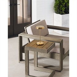 Tepa Modern Classic Natural Brass Rechargeable Outdoor Table Lamp|