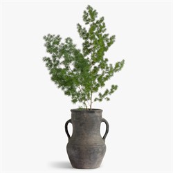 Laguna Traditional Antique Grey Terracotta Two-Handle Vase|