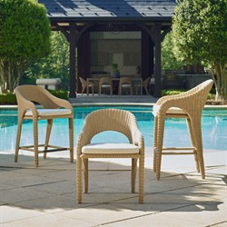 Kaela Coastal Beach Brown Woven Wicker Outdoor Dining Arm Chair|