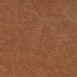 Quill Modern Classic Brown Leather Dining Arm Chair|