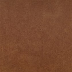 Ryver Modern Classic Brown Leather Beige Performance Dining Chair|