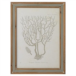 Arlene Costal Beach Grey Coral Brown Wood Frame Illustration - Set of 4|