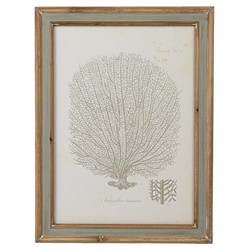 Arlene Costal Beach Grey Coral Brown Wood Frame Illustration - Set of 4|