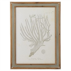 Arlene Costal Beach Grey Coral Brown Wood Frame Illustration - Set of 4|