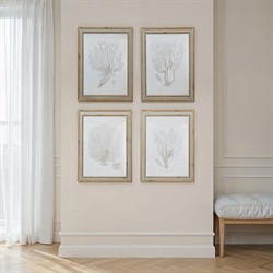 Arlene Costal Beach Grey Coral Brown Wood Frame Illustration - Set of 4|