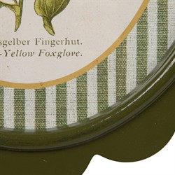 Linara Updated Traditional Yellow Floral Green Frame Illustration - Set of 9|