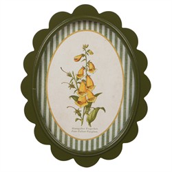 Linara Updated Traditional Yellow Floral Green Frame Illustration - Set of 9|