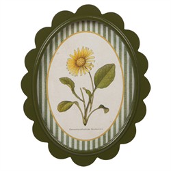 Linara Updated Traditional Yellow Floral Green Frame Illustration - Set of 9|