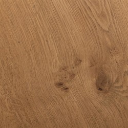 Rue Modern Classic Brown Burl Round Coffee Table|