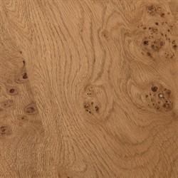 Rue Modern Classic Brown Burl Round Coffee Table|