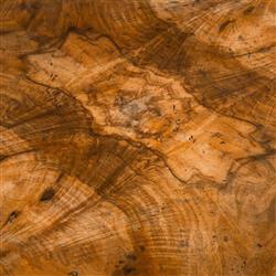 John-Richard Larron Rustic Modern Walnut Burl Slab Rectangular Block Coffee Table|