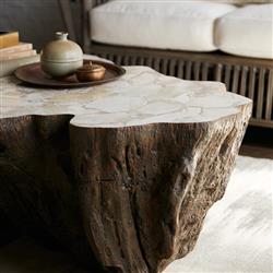 Palecek Chloe Fossilized Clam Shell Top Natural Tree Trunk Coffee Table|