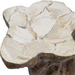 Palecek Chloe Rustic Fossilized Natural Tree Trunk Side End Table|