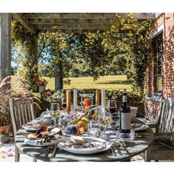 Simon Pearce Modern Classic Barre Alabaster Stoneware Dinner Plate|