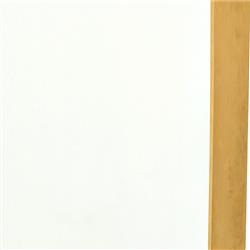 Ian Modern Slim Gold Stainless Steel Border Rectangular Floor Mirror|