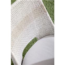Theodore Coastal Taupe Woven Cushion Grey Teak Outdoor Dining Chair - Set of 2|