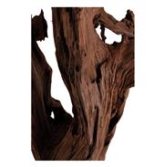 Kazu Root Mangrove Tree Iron Floor Sculpture|