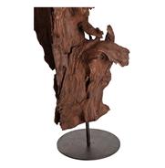 Kazu Root Mangrove Tree Iron Floor Sculpture|