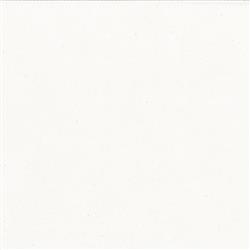 Cisco Home Amalia Modern Classic White Slipcovered Occasional Arm Chair|