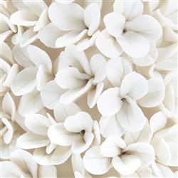 Boston French Country Blanc De Chine Porcelain Boxwood Topiary|