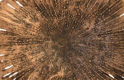 Danica Modern Copper Lotus Wall Art - Small|