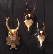 Alsace Hunt Club Reproduction Antler Wall Mount Trophy- Set of 3|