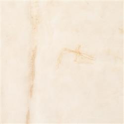 Brantley Rustic Lodge Natural Brown Cowhide Rug - 5'x7'|