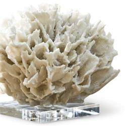 White White Ribbon Coral on Crystal Base|
