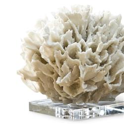 White White Ribbon Coral on Crystal Base|