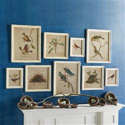 Cielo Bird and Nest Animals & Nature White Frame Illustration - Set of 9|