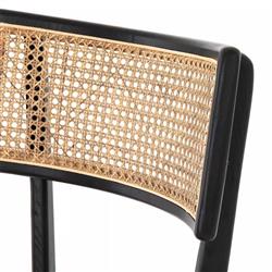 Tina Modern White Performance Upholstered Seat Black Cane Dining Chair|