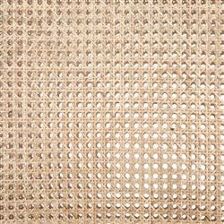 Annette Modern Classic Black Cane Wood Frame White Performance Dining Side Chair|