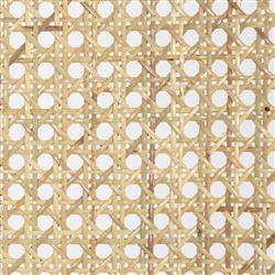 Tina Modern Beige Performance Upholstered Seat Brown Wood Cane Dining Chair|