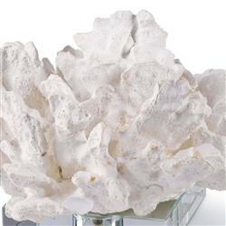 Coastal Beach White Resin Clear Base Decorative Coral Sculpture|