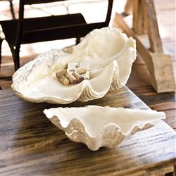 Imperial Coastal Beach Clamshell Bowl - 21W|